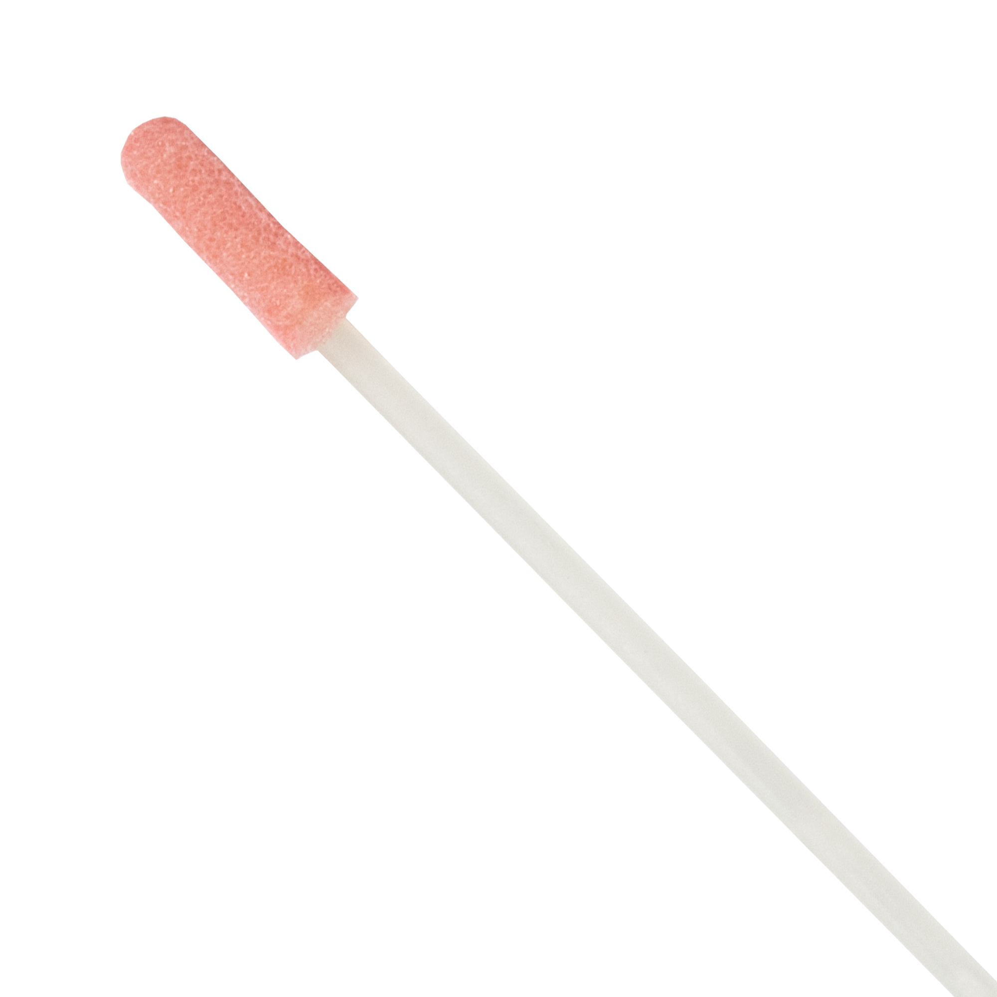 Reinigungsstäbchen/Swab 1273-PF ESD